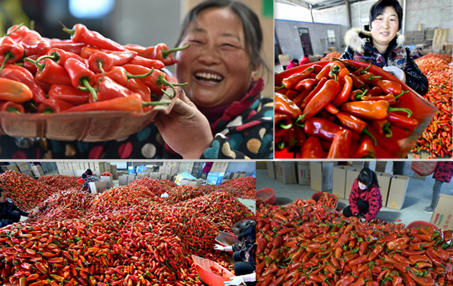 合肥出台医疗救助新政策 困难群众先诊疗后付