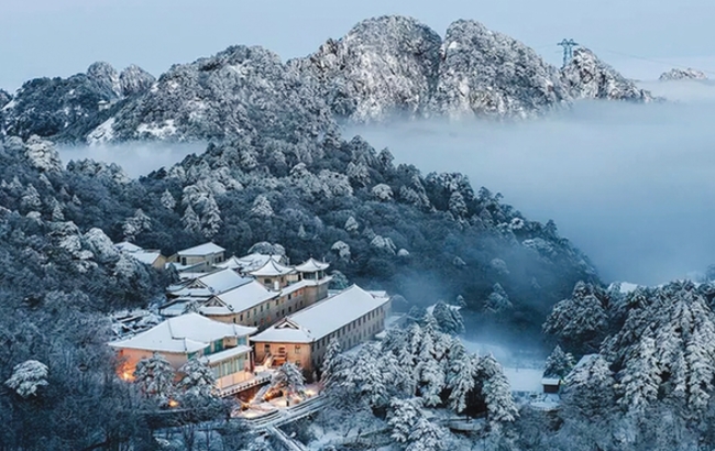 天合联盟拿上市做幌子 诱2万余人投资