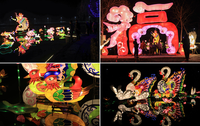 迎冬至 賞彩燈
