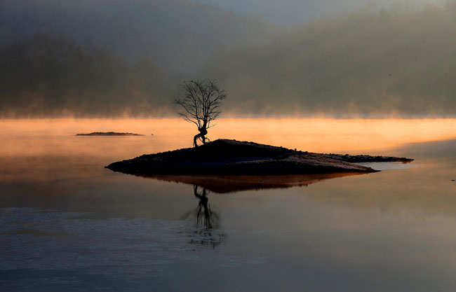 中国人民政治协商会议第十二届安徽省委员会委