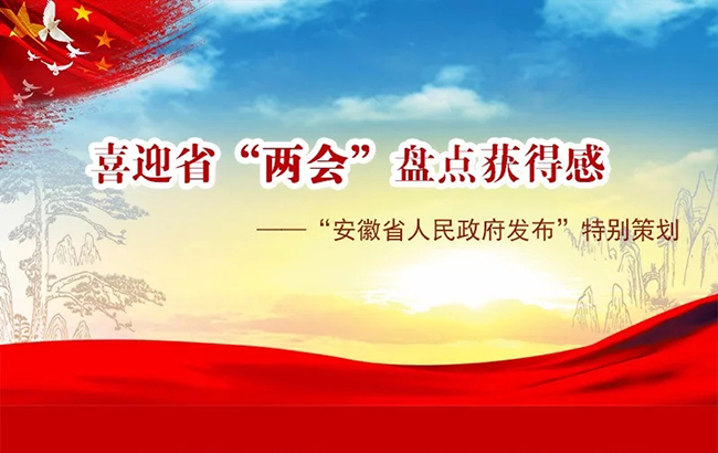 手绘|喜迎省"两会" 盘点获得感