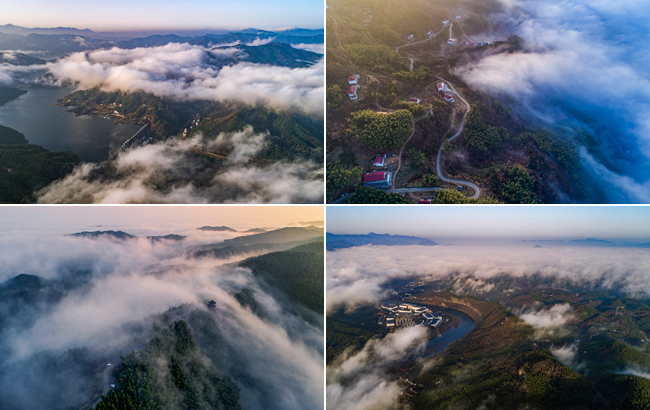 蔥蘢林海大別山 深冬雲海千重浪