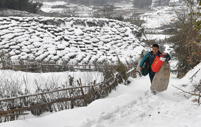 冰雪難阻投遞路