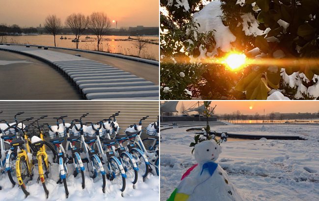 冬日雪後暖陽美 銀裝累累映彩暉