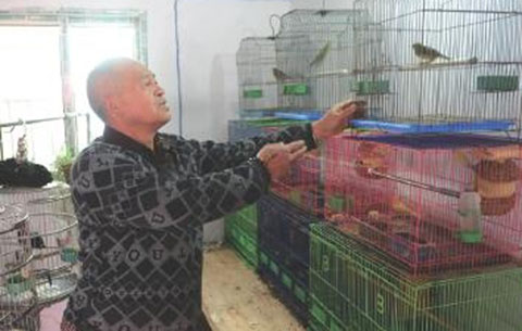 阜陽有個&ldquo;鳥癡&rdquo; 義務護鳥20余年