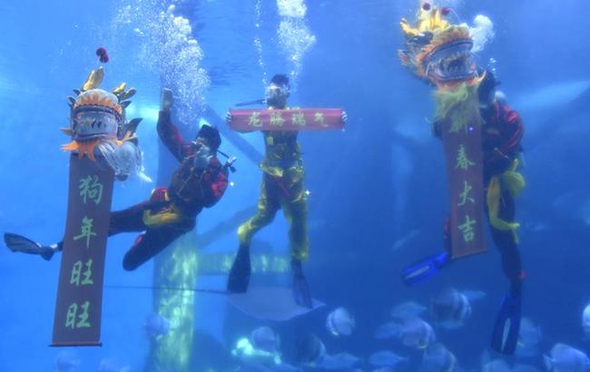 &ldquo;海底舞龍&rdquo;迎新春