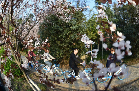 春光美,垂楊拂綠水,百花鬥芳菲