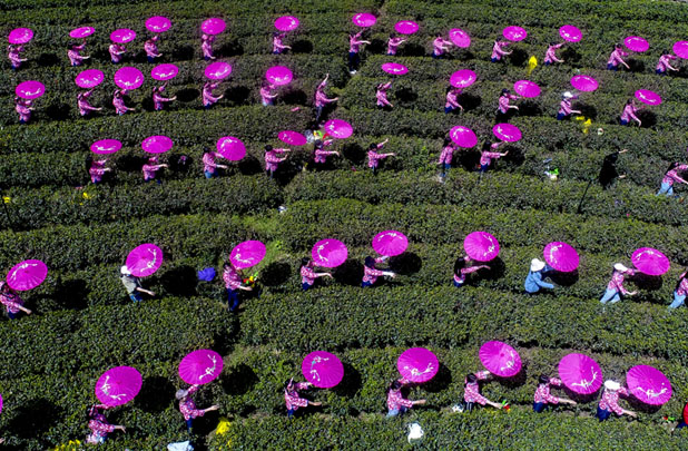 【e关注】差错百出、法人被变更 一份带病