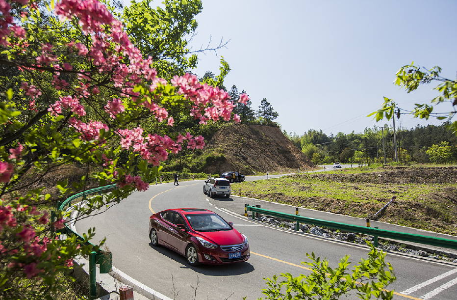 手机软件须防赌博见缝插针