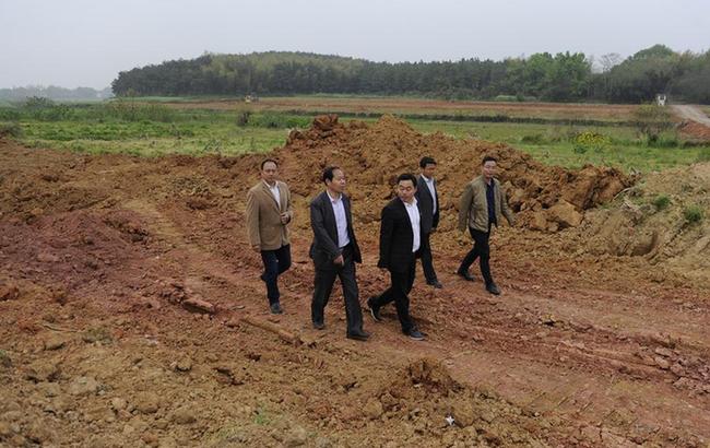 “新書記”“新村幹”“新鄉賢”