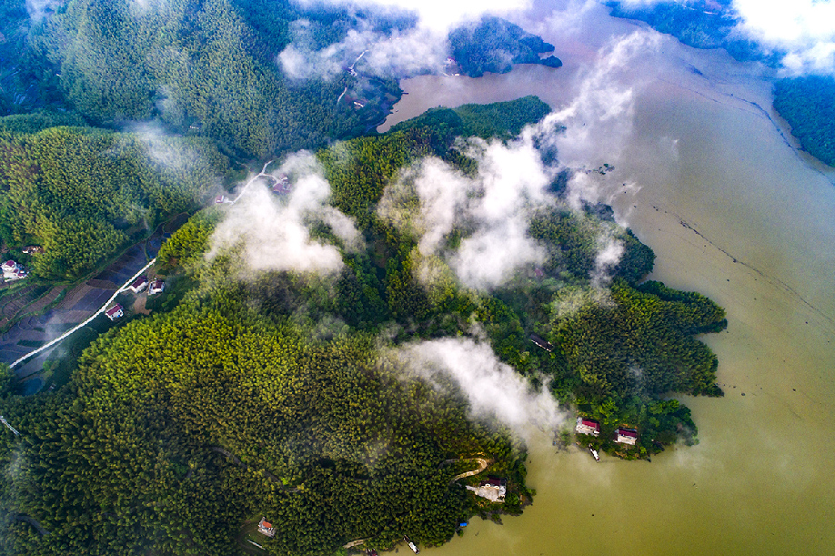 滿目蔥蘢佛子嶺 如詩如畫大別山