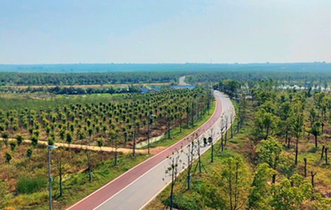 【美丽中国长江行】合肥：江淮分水岭上的6万亩林海氧吧