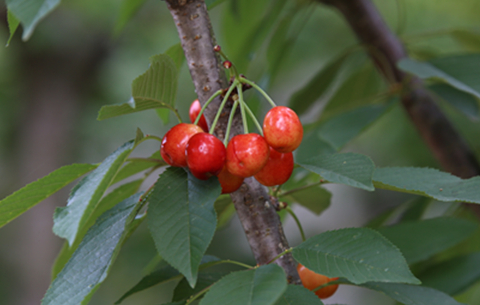 《四十年四十人》邀你讲述自己的人生故事