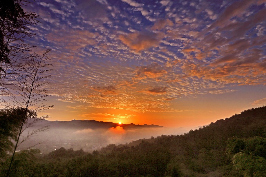 齊雲山攬勝五月天 日出雲海似畫卷