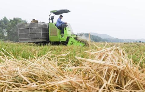 安徽南陵:秸稈回收助增收