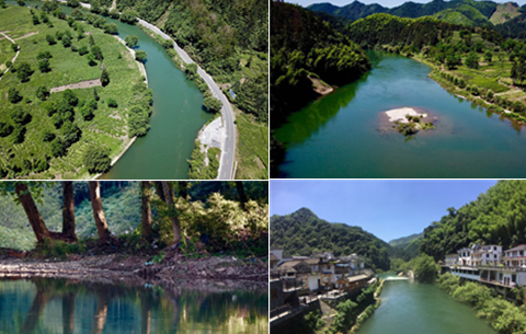 航拍:探秘江南“三江”源 枝繁葉茂生態絕美