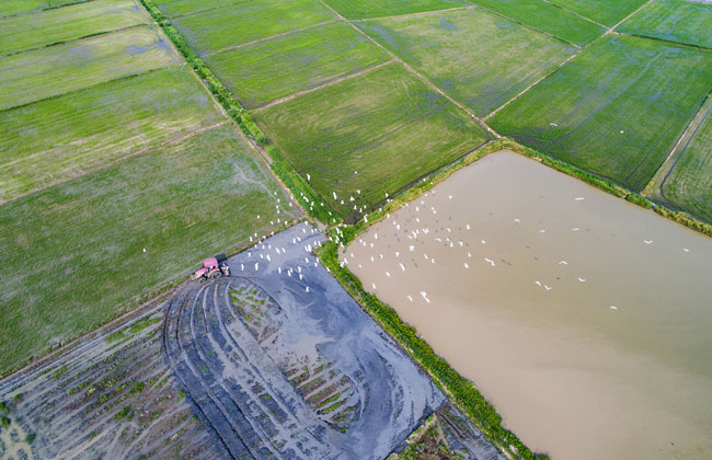 安徽潜山:开展校园防灾减灾安全教育活动