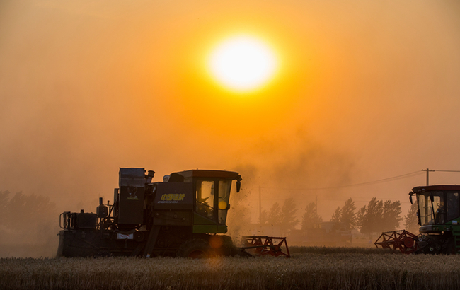 亳州率先上线国地税一体化办税终端