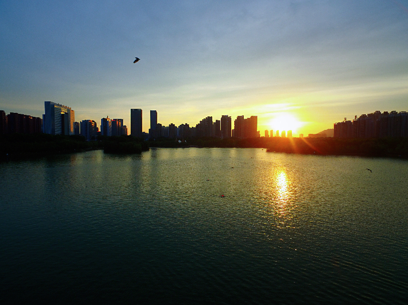 航拍:微風清影拂湖畔 水波雲動噪夕陽