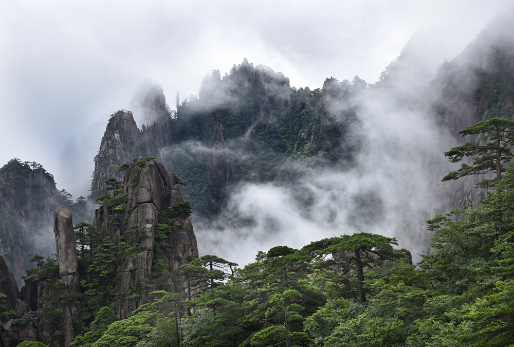 雲淡風輕松柏翠 相聚晴雨小暑出