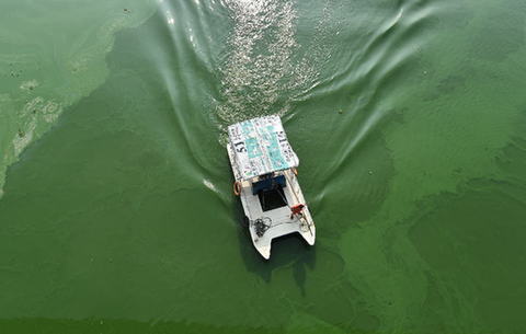 航拍：连日高温 巢湖出现局部性蓝藻水华