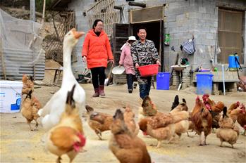 寫在40個貧困縣脫貧摘帽之際