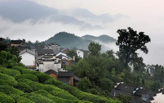 青黛遠山雲霧繞 白墻灰瓦山色嬌
