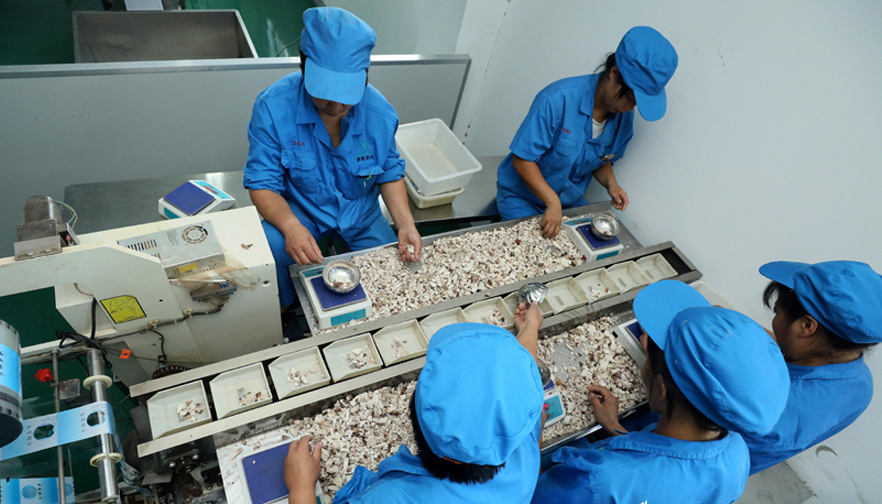 2018年国际(亳州)中医药博览会暨第34届全国(