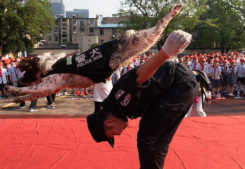 開學季:警察蜀黍來講第一課