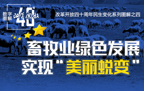 圖解:畜牧業綠色發展實現“美麗蛻變”