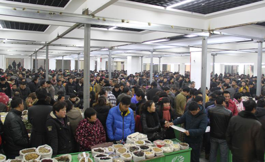 2018年国际(亳州)中医药博览会暨第34届全国(