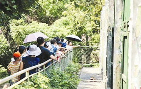 遊客亂投喂屢禁不止 動物園呼吁文明遊園