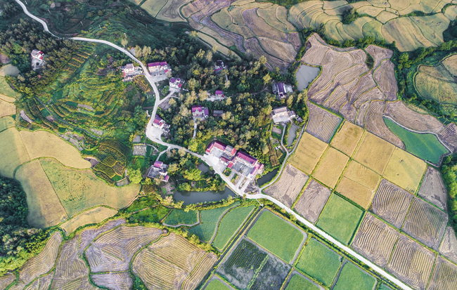 航拍:五彩斑斕調色板 豐收田野若棋盤