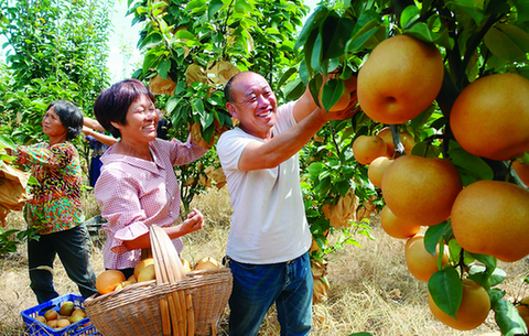 又是一年豐收季