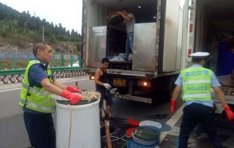 貨車側翻皮皮蝦撒落 民警化身搬運工熱心救助