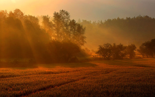 秋色如詩 歲月靜好