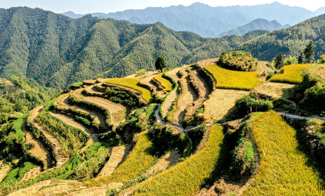 航拍:“天邊的山村”豐收美
