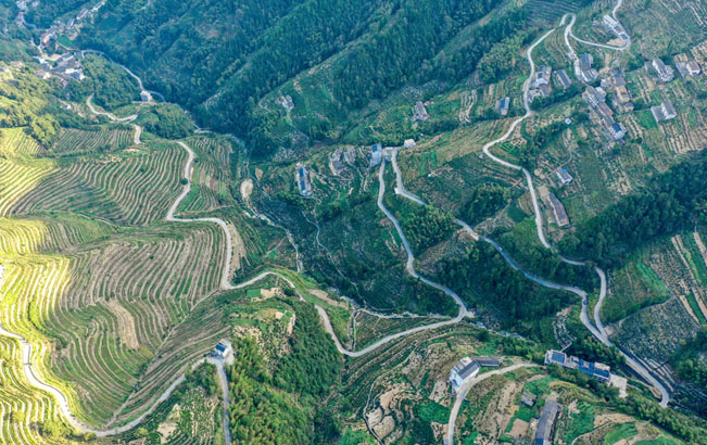 航拍:扶貧公路進深山 梯田茶園展新顏
