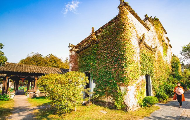 夢裏徽州 秋天童話