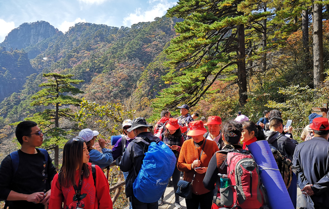 黃山秋色醉遊人