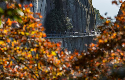 九華花臺秋意濃