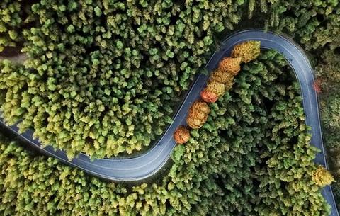 2018黃山國際山地馬拉松開賽