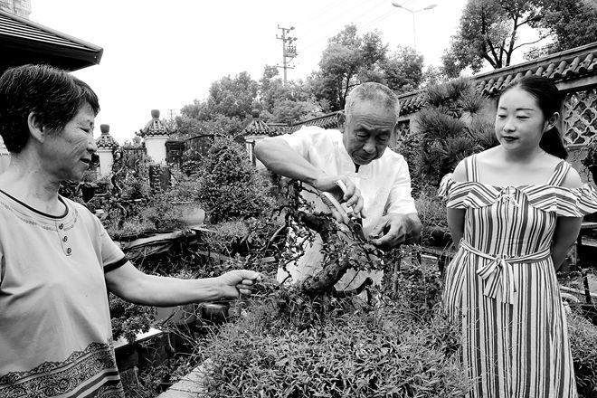 非遺傳承人束克雲:一枝一葉總關情