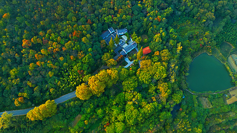 航拍江淮:層林盡染水交融 煙凝秋色葉流丹