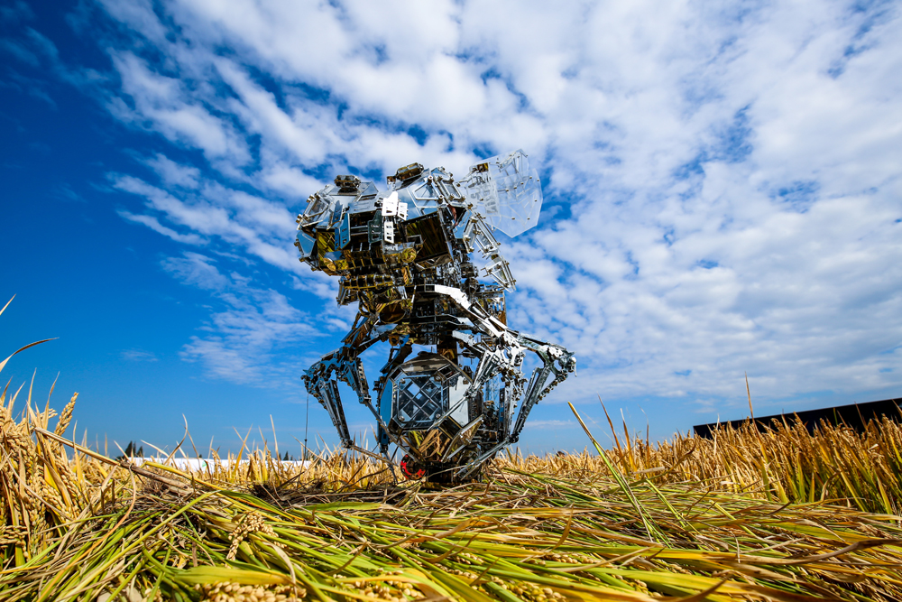 合肥经开区:财政收入年均增幅实现三级跳