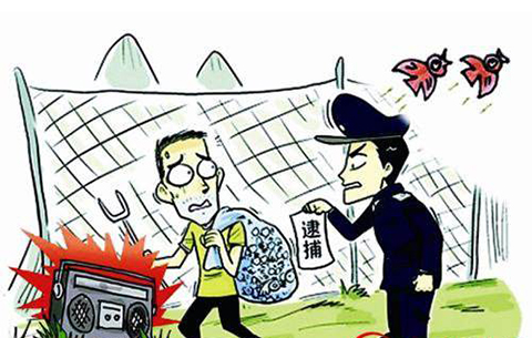 安徽安慶破獲特大團夥非法狩獵案 扣押野生鳥類近萬只