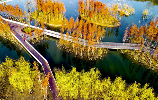 航拍安徽亳州:初冬湖景醉古城