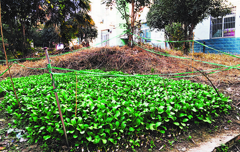 濫用、佔用“公地”讓物業和守規業主很頭疼