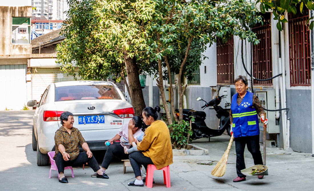 桂花树下话家常