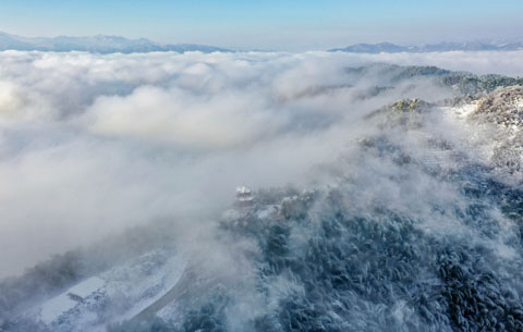 航拍:雪嶺竹成海 水墨淡如煙